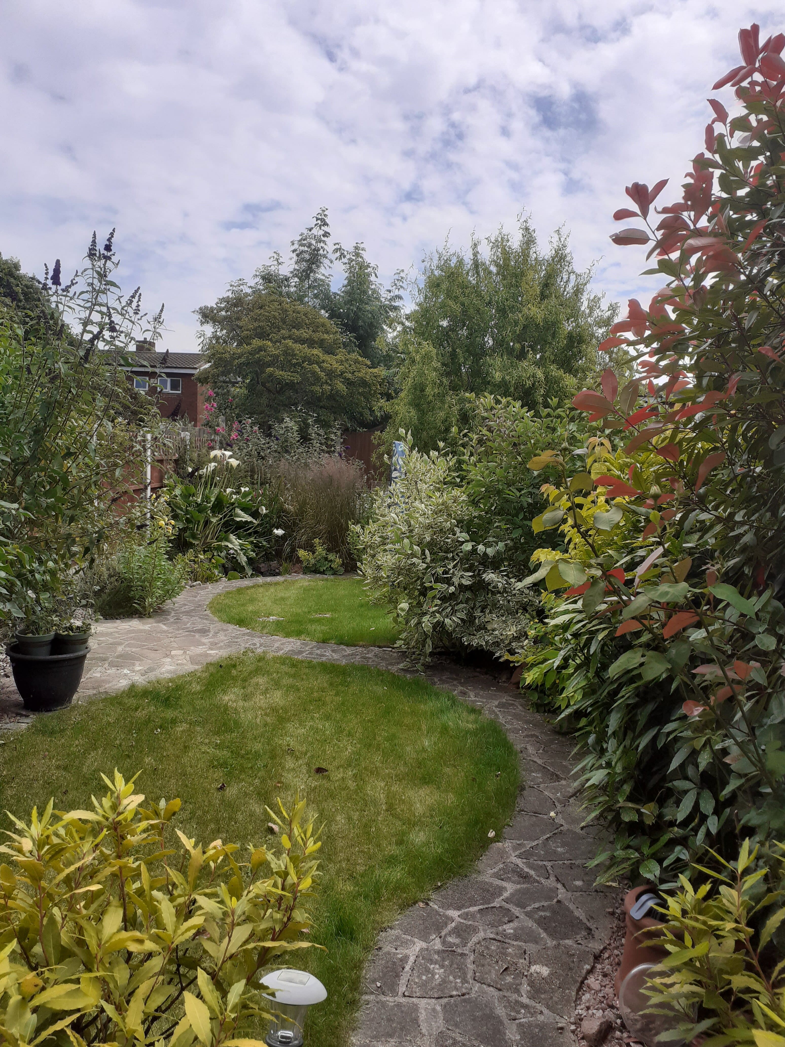 Garden three years later - Three years later