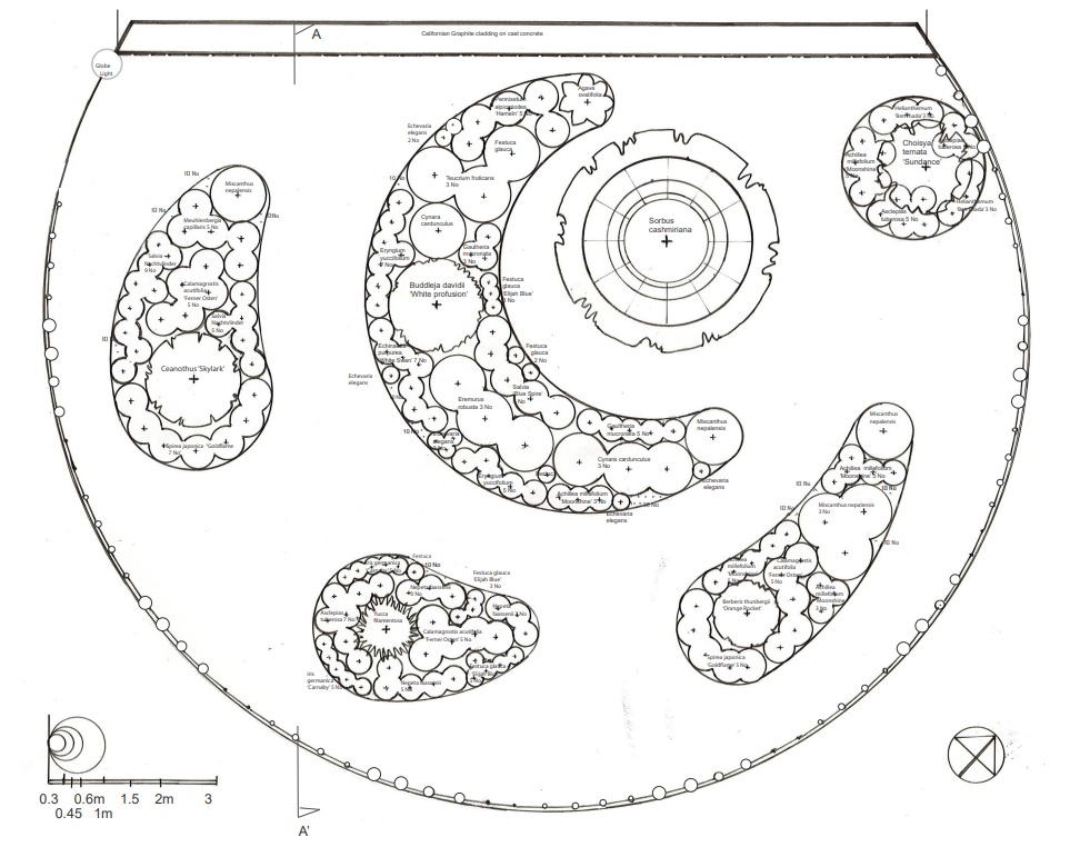 A plan view of the garden depicting curved teardrop and crescent planting beds orbiting a central tree - A plan view of the garden depicting curved teardrop and crescent planting beds orbiting a central tree