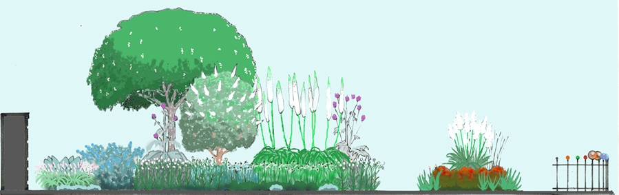 Californian Style Planting Plan - A design for low rainfall areas using vibrant and cool colours inspired by the solar system