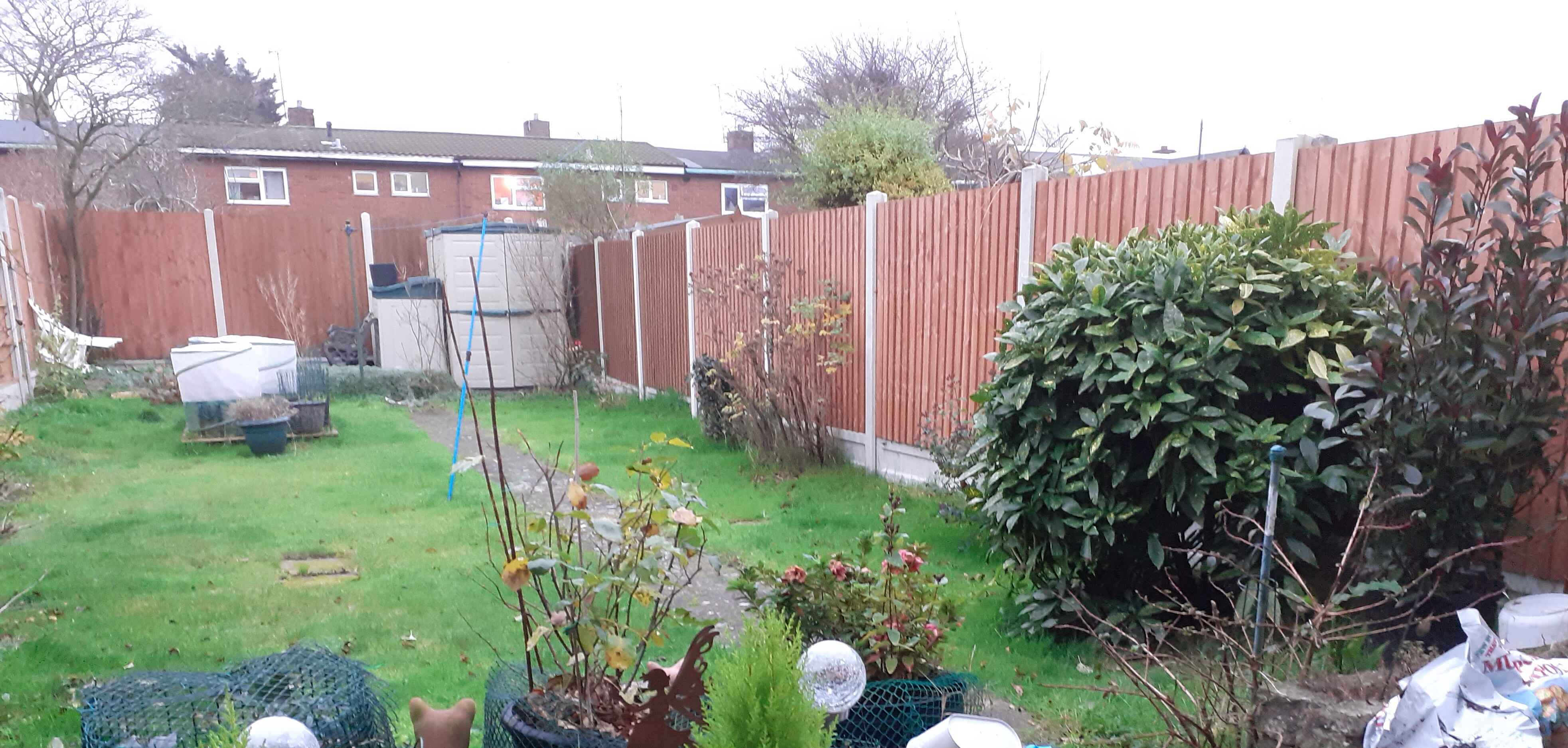 Garden before transformation - The garden before any work was done