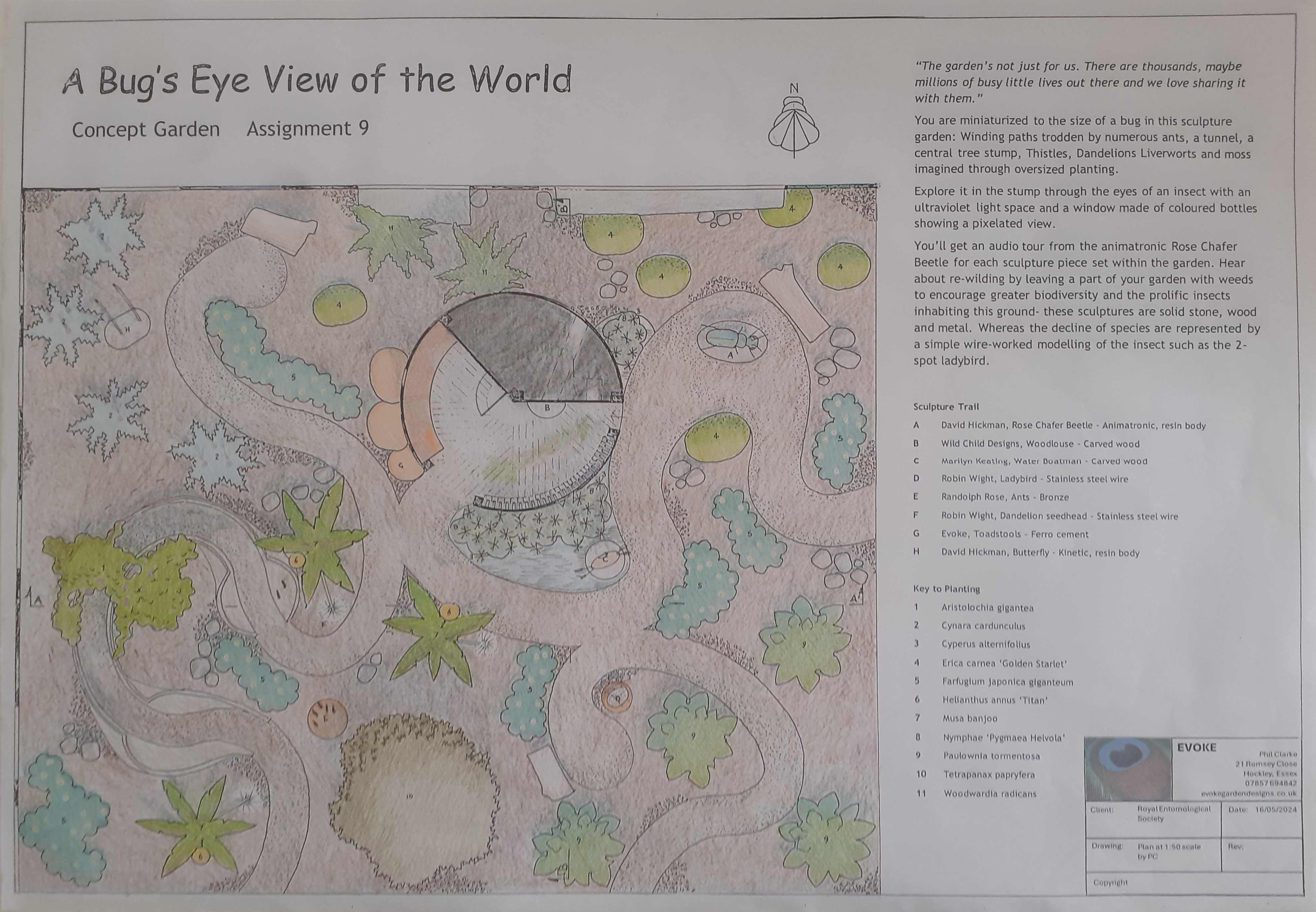 Bug concept garden master plan - Master plan showing sculptural elements, planting zones and visitor pathways