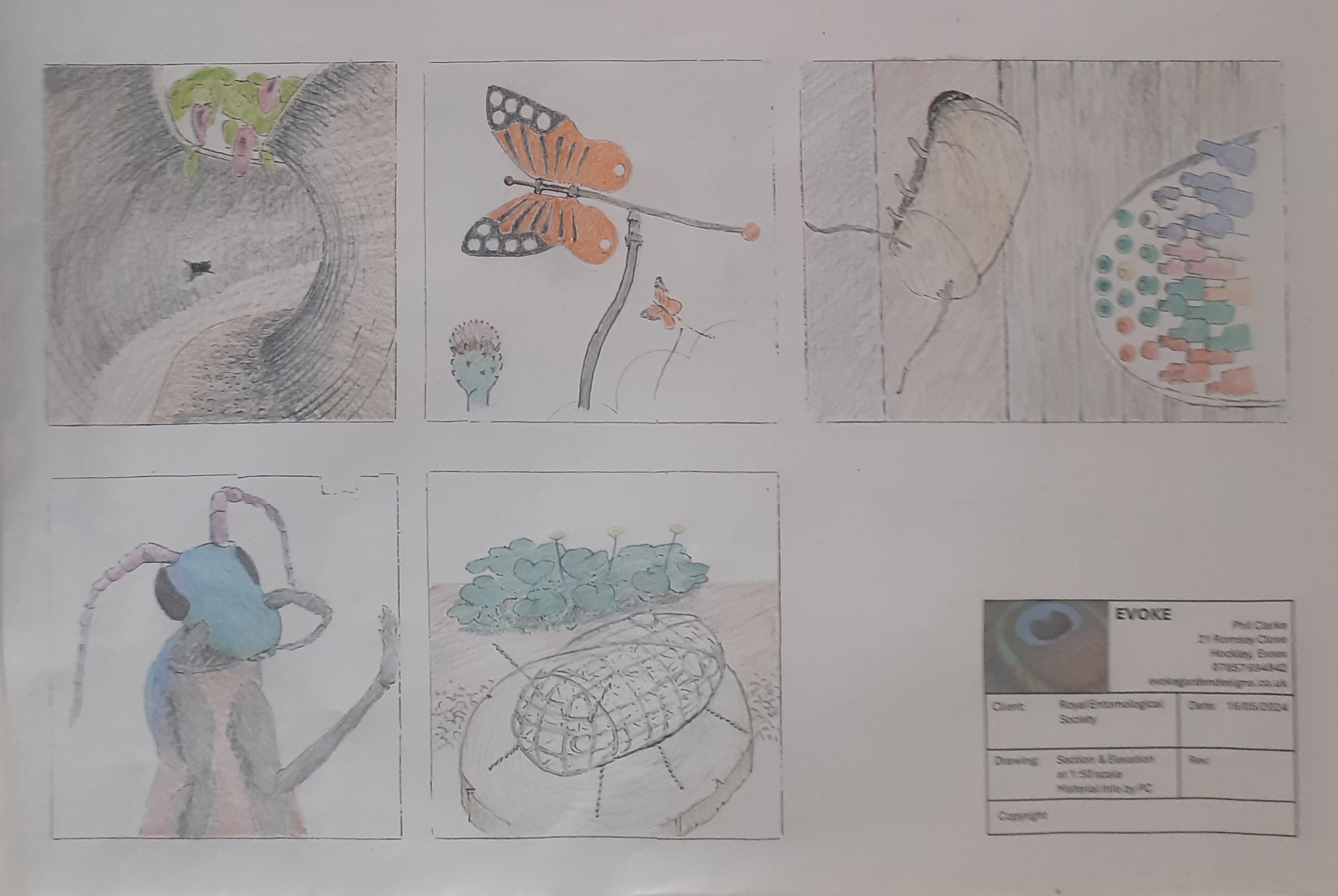 Garden walkthrough sketches - Experience sketches showing the immersive bug's eye view journey