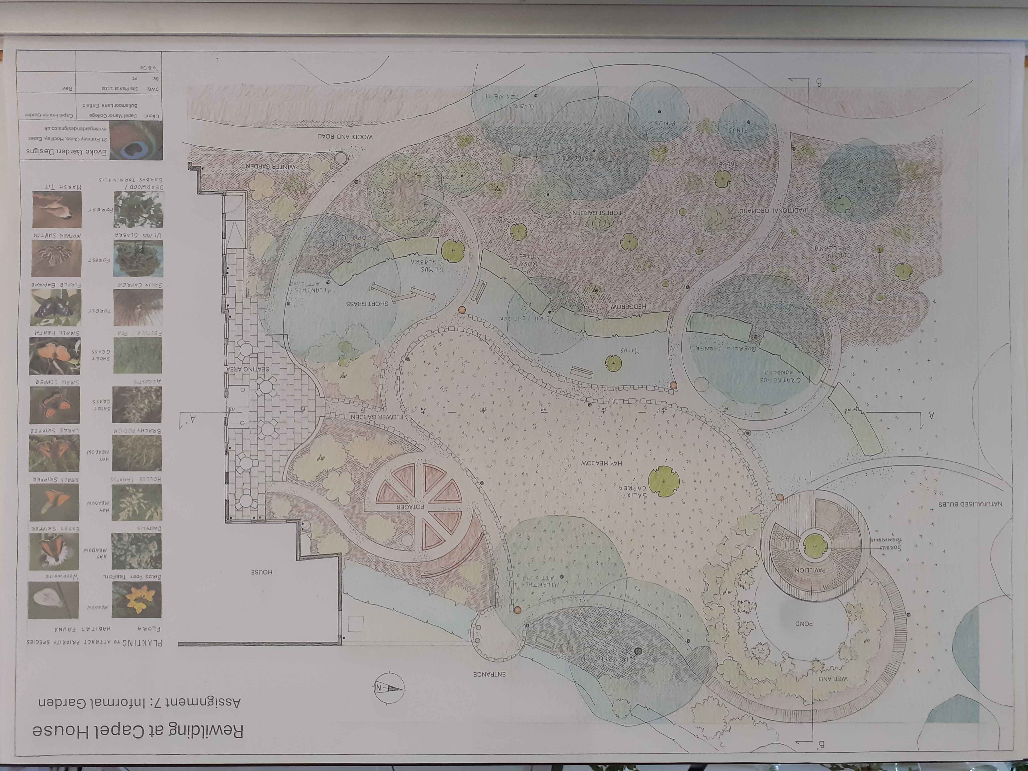 Rewilding project master plan - Master plan showing meadows, forest planting, pond and curved pathways