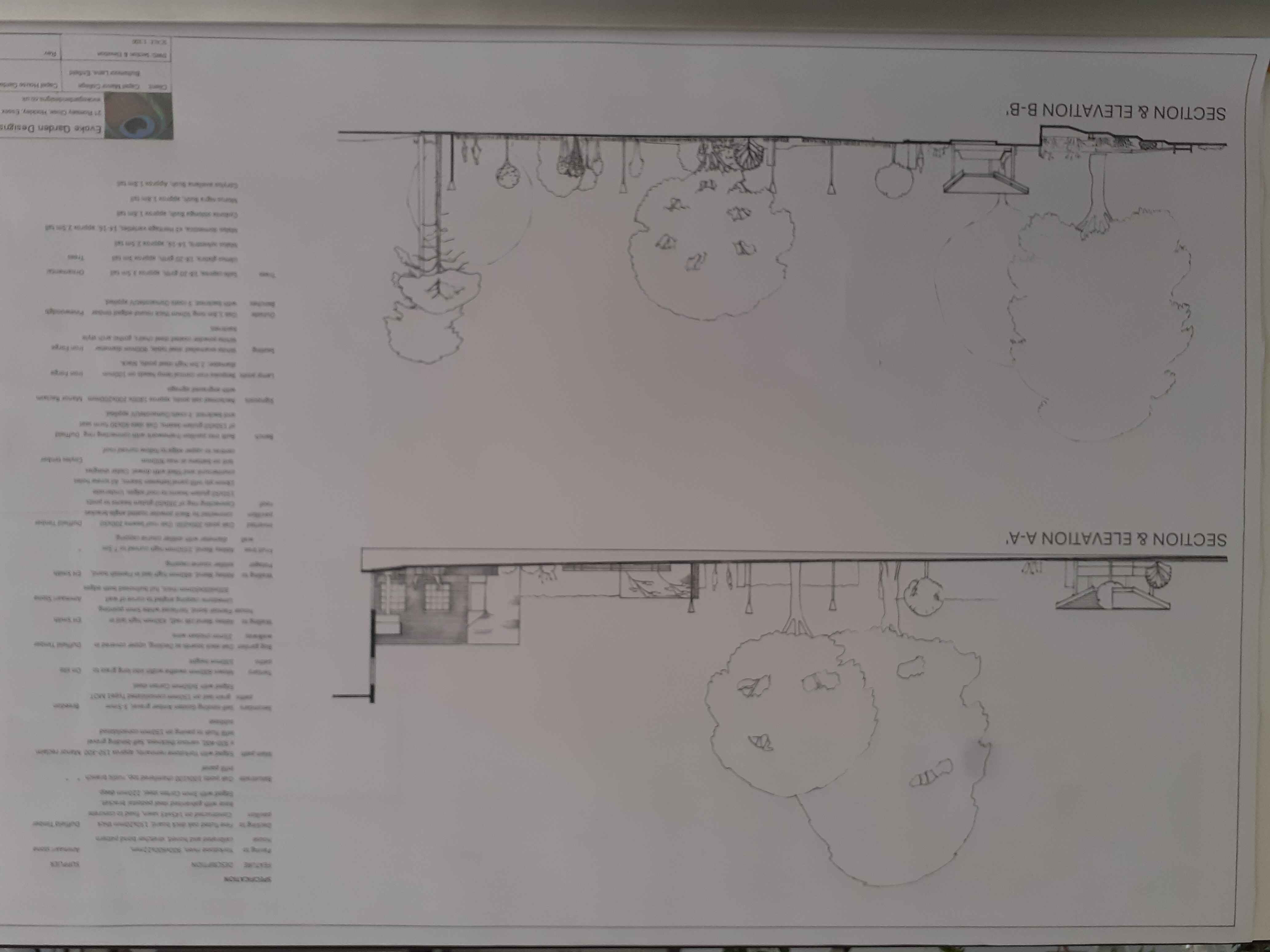 Project elevations and sections - Cross-sections showing bespoke lighting and rainwater collection systems