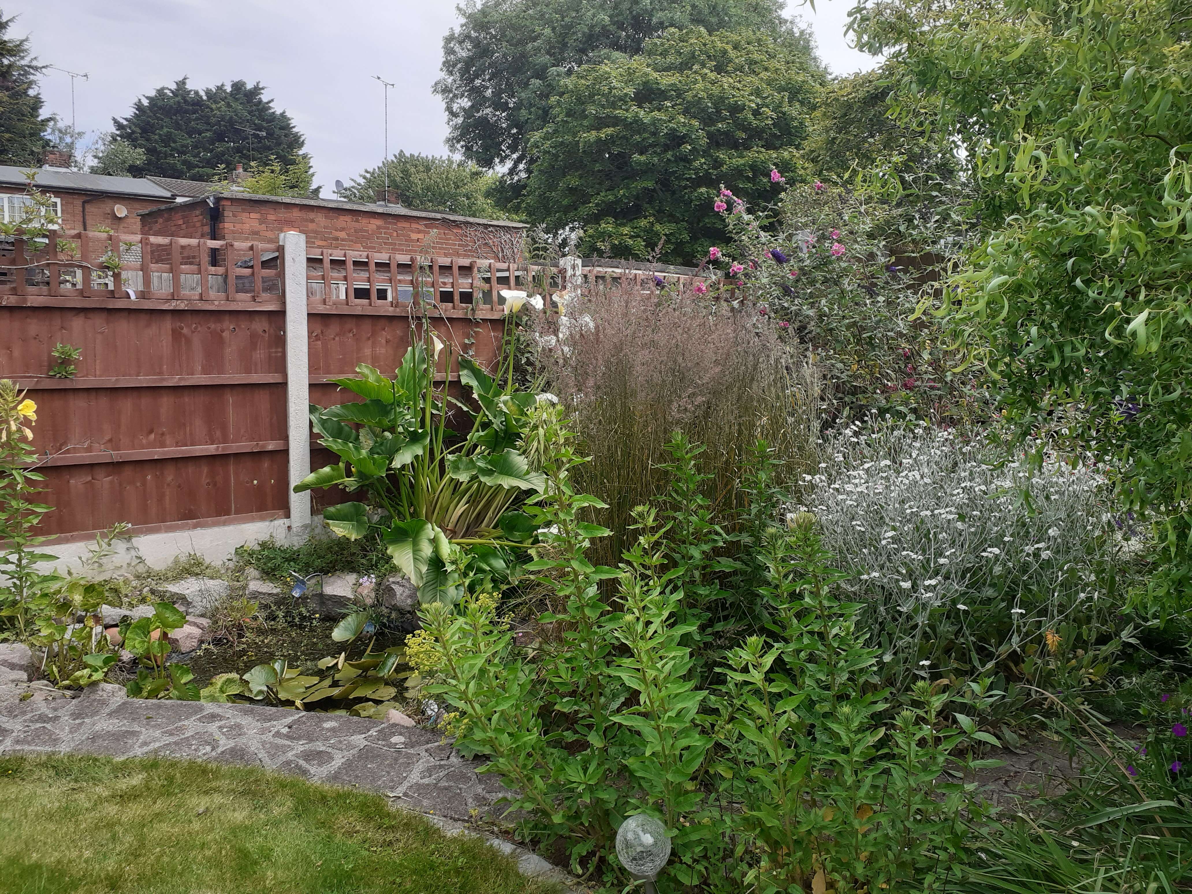 A Fully Designed and Installed Garden - Complete garden transformation featuring wildlife areas, pond installation, and purple-themed plantings