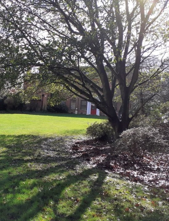 A Rewilding Design Project - Large-scale biodiversity enhancement project in Enfield with climate change mitigation strategies